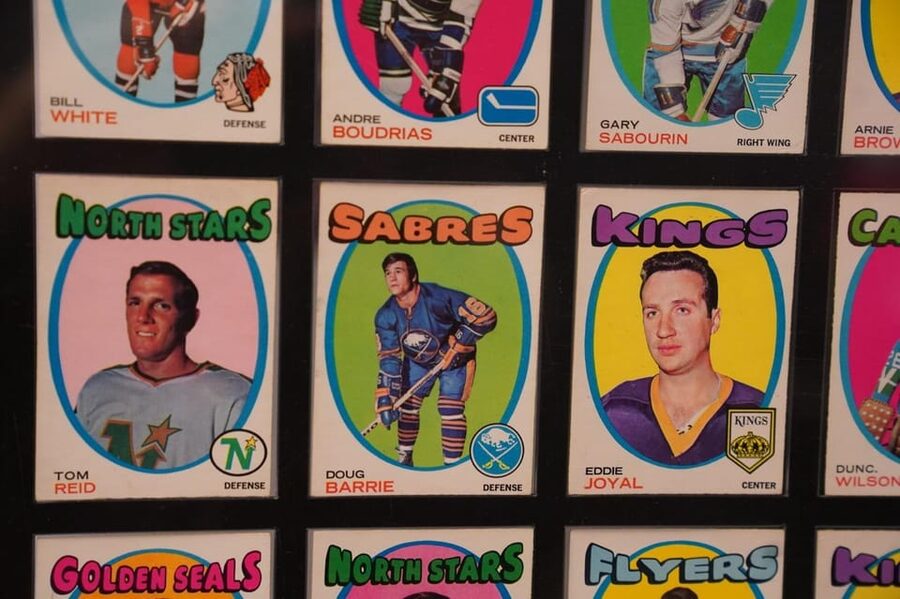 Prague: Hockey Cards Museum and NHL VR Experience Ticket - Who Will Enjoy It Most?