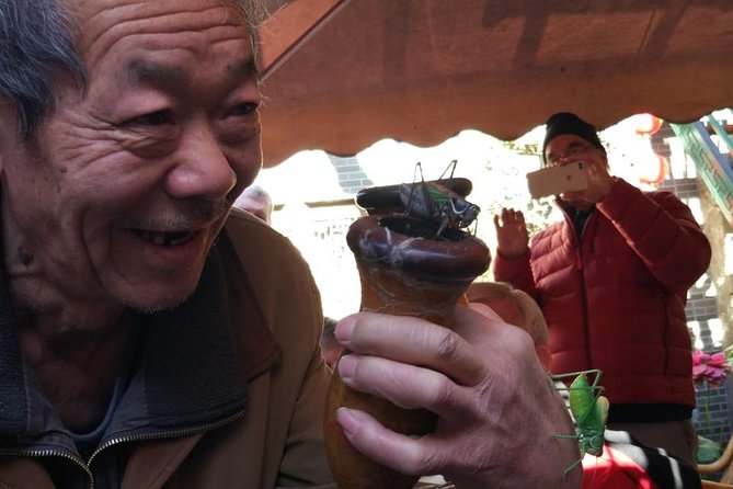 Private Hutong Culture Tour with Dumpling Cooking Class plus Cricket Fighting Game - Why this hutong day works