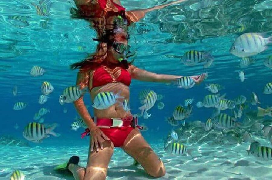 Puerto Plata: Cayo Arena Tour with Snorkeling and Mangroves - Why Cayo Arena makes a strong day trip from Puerto Plata