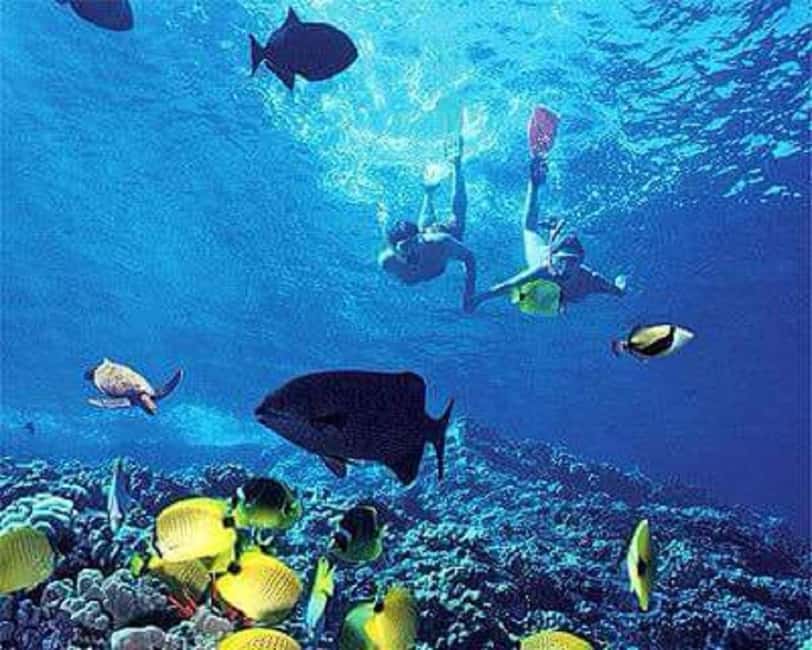 Puerto Plata: Cayo Arena Tour with Snorkeling and Mangroves - Boarding the speedboat at Punta Rucia