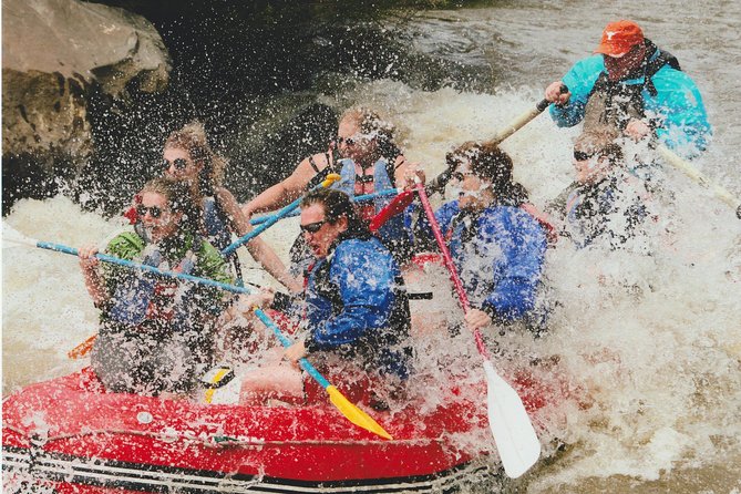 Racecourse half day class 3 most popular in New Mexico - Key points before you book