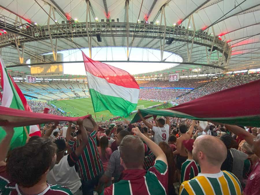 Rio: Fluminense Match at Maracanã with Guide and Ticket - Key points to know before booking