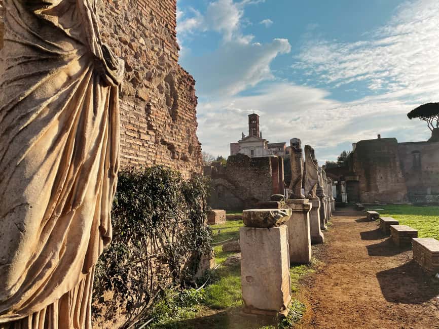 Rome: Colosseum Underground and Arena Tour - Who should book this tour?