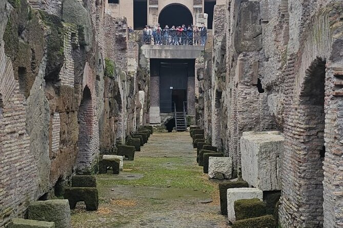Rome : Colosseum Underground and Arena Tour (MAX 7 PEOPLE) - Key Points to Know
