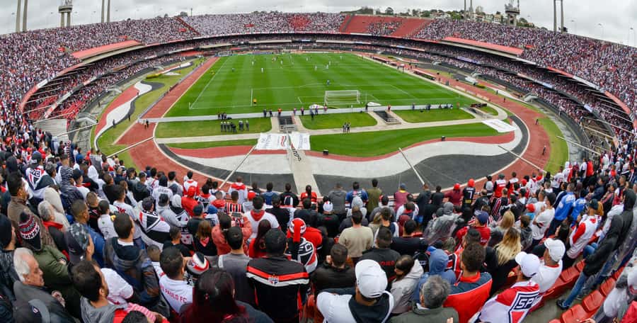 São Paulo: Join a São Paulo football game with a local fan - Key points to know before you book
