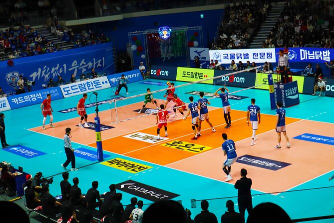 Sports Match in Seoul with Guided K-Food Experience - Basketball, volleyball, or football: how to choose your expectations