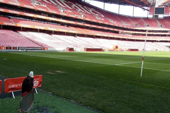 Stadium of Benfica Experience and Museum Visiting - Walking through the stadium’s public spaces