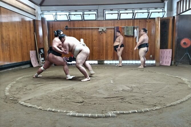 Sumo Practice Viewing Guided Tour and Photo with Sumo Wrestlers - Watching 45 minutes of morning practice
