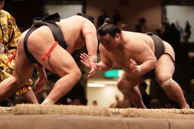 Sumo Wrestling Tournament Chair Seats & Expert Guide | Osaka Mar - Getting settled in the chair seats