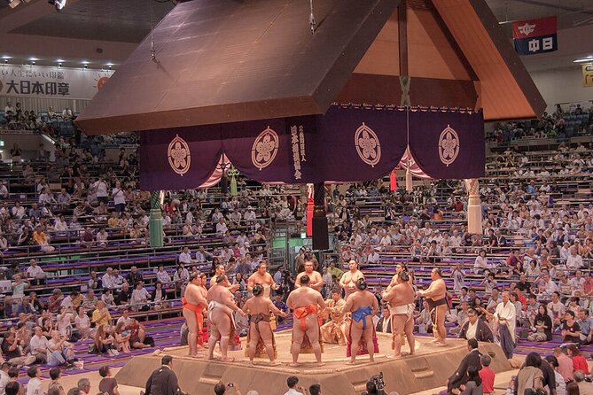 The Best Sumo Tournament Experience in Nagoya - Key points to know before booking