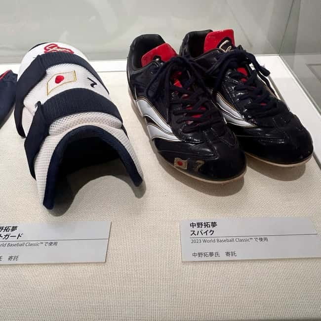 The Museum of Hanshin Koshien Stadium Entry Ticket - Who will get the most from this visit