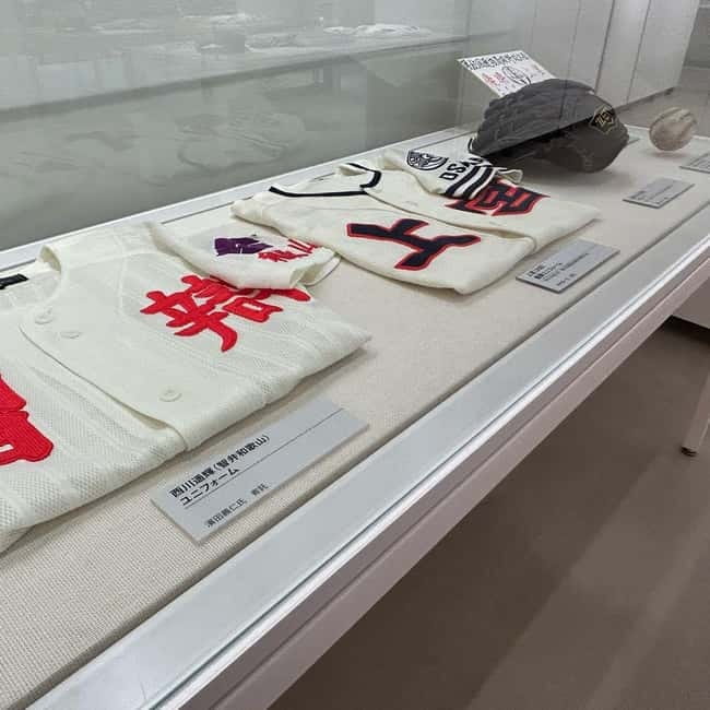 The Museum of Hanshin Koshien Stadium Entry Ticket - A few drawbacks to weigh