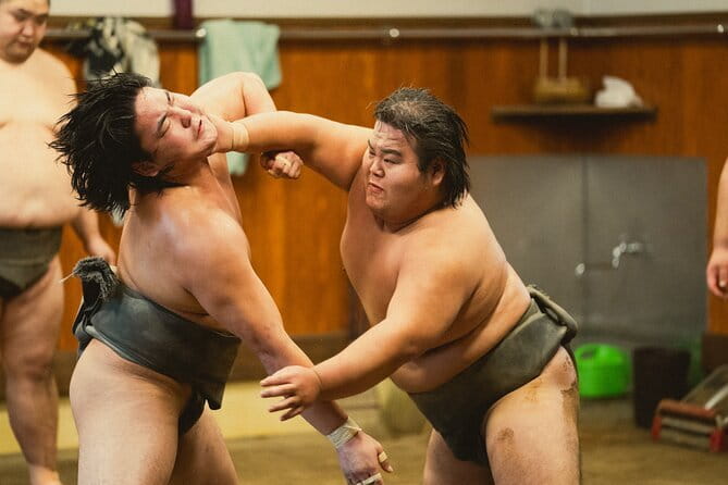 Tokyo 6hr Private Guided Tour & Sumo Show Lunch - Meiji Jingu, Takeshita Street, and Yoyogi Park