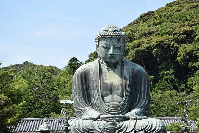 Tokyo 6hr Private Guided Tour & Sumo Show Lunch - Akihabara, Odaiba, Shibamata, and Nezu