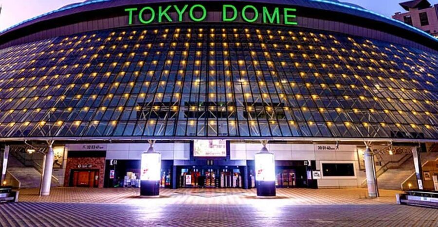 Tokyo Dome: Yomiuri Giants Baseball Game Ticket with Towel - Practical advice before first pitch
