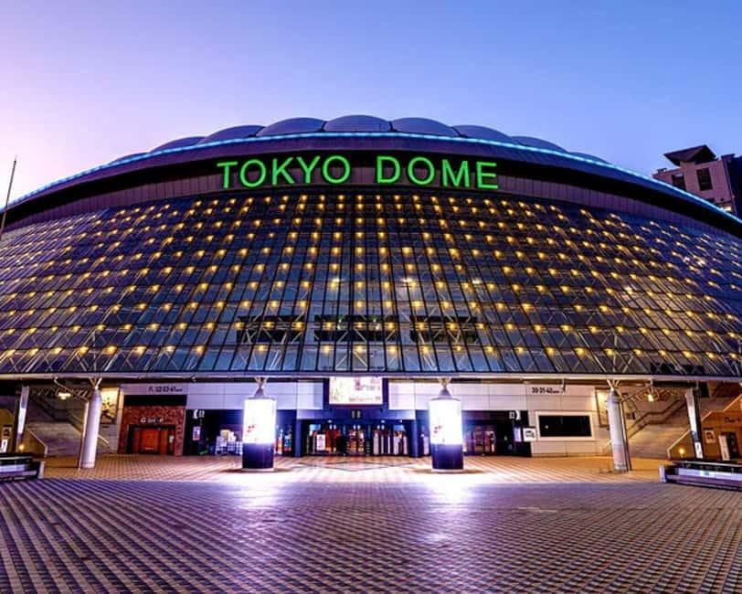 Tokyo Dome: Yomiuri Giants Baseball Game Ticket with Towel - What the lower-level infield seat means