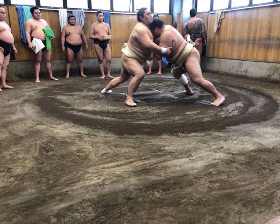 Tokyo: Exclusive Access to Sumo Morning Practice with Photos - Why watching practice beats watching from stadium seats