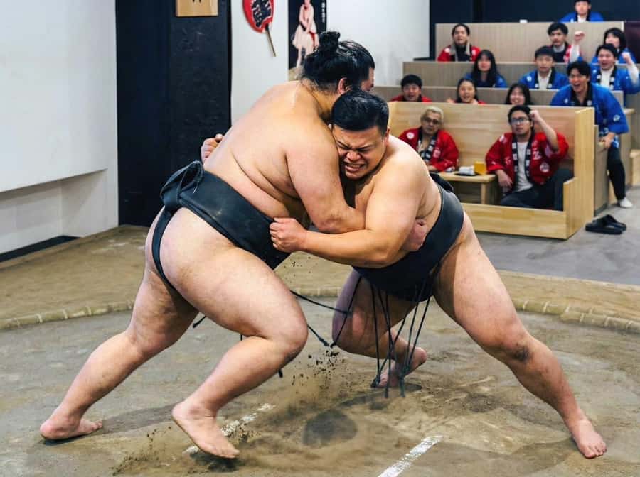 Tokyo Ginza : Sumo and Mikoshi Experience,Open from Sep. - What happens during the sumo program