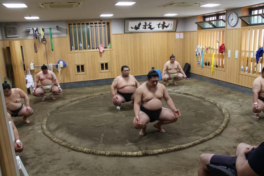 Tokyo: Grand Sumo Morning Training Tour - Key points at a glance