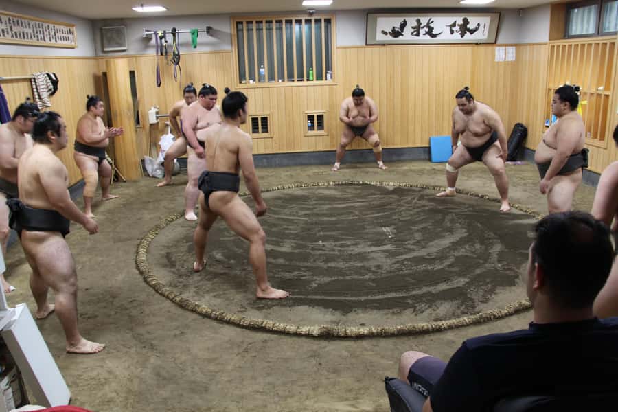 Tokyo: Grand Sumo Morning Training Tour - Why this sumo morning feels different from a show