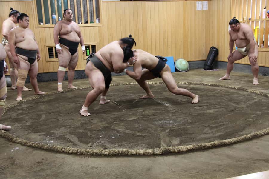 Tokyo: Grand Sumo Morning Training Tour - Rules that protect the experience