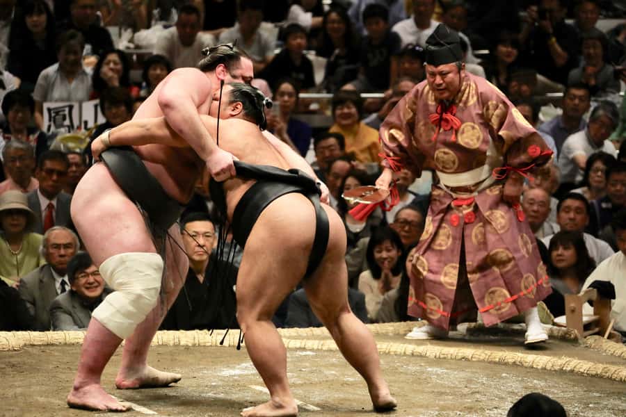 Tokyo: Grand Sumo Tournament Tour - Why live commentary changes the sumo experience