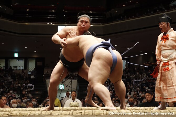 Tokyo Grand Sumo Tournament Viewing Tour with Tickets - What the guide adds, and where the tour is limited