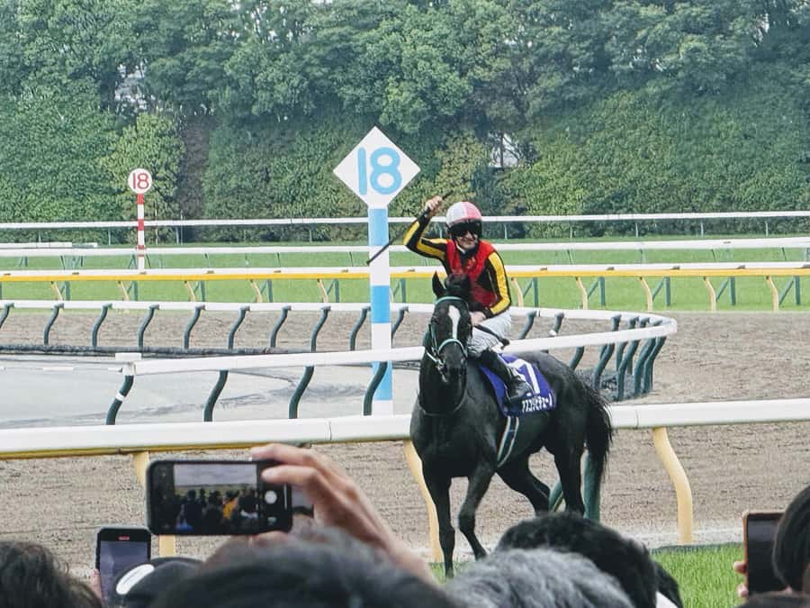 Tokyo: Horse Racing Tour with Local Fan - Key points at a glance
