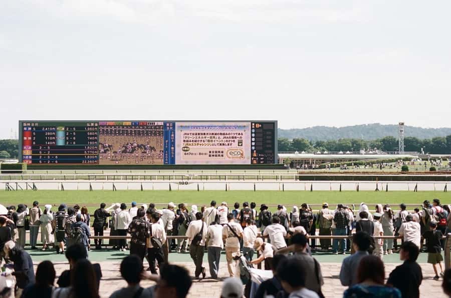 Tokyo: Horse Racing Tour with Local Fan - Meeting Eito and getting through the entrance