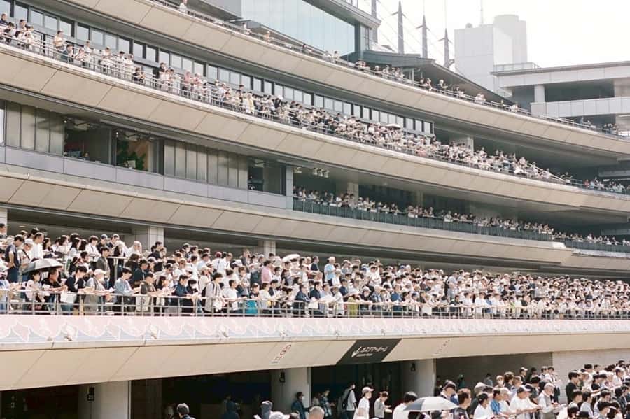 Tokyo: Horse Racing Tour with Local Fan - Learning the betting system before the first race