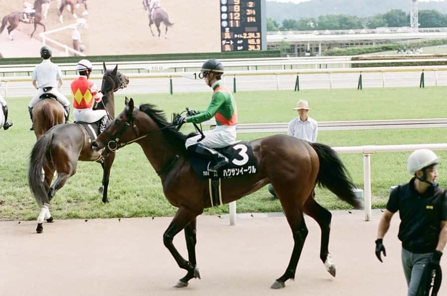 Tokyo: Horse Racing Tour with Local Fan - What the $60 price really buys