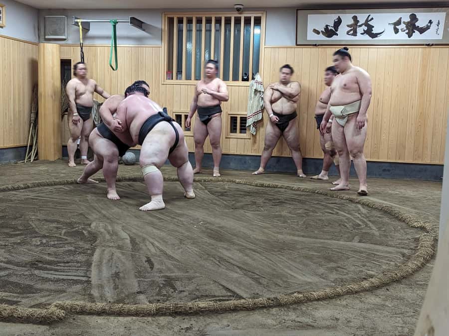 Tokyo: Morning Sumo Practice Viewing - Practical details that affect your morning