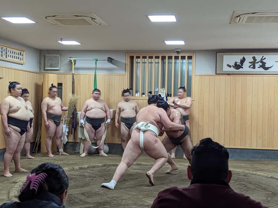 Tokyo: Morning Sumo Practice Viewing - Why real morning practice feels different from a sumo show