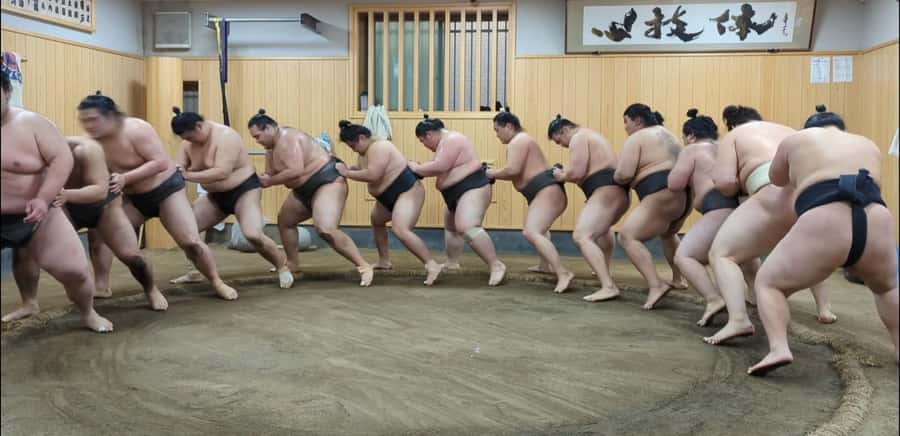 Tokyo: Morning Sumo Practice Viewing - Seeing the rank struggle up close