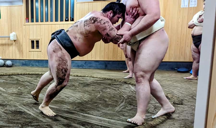 Tokyo: Morning Sumo Practice Viewing - The mood changes after training