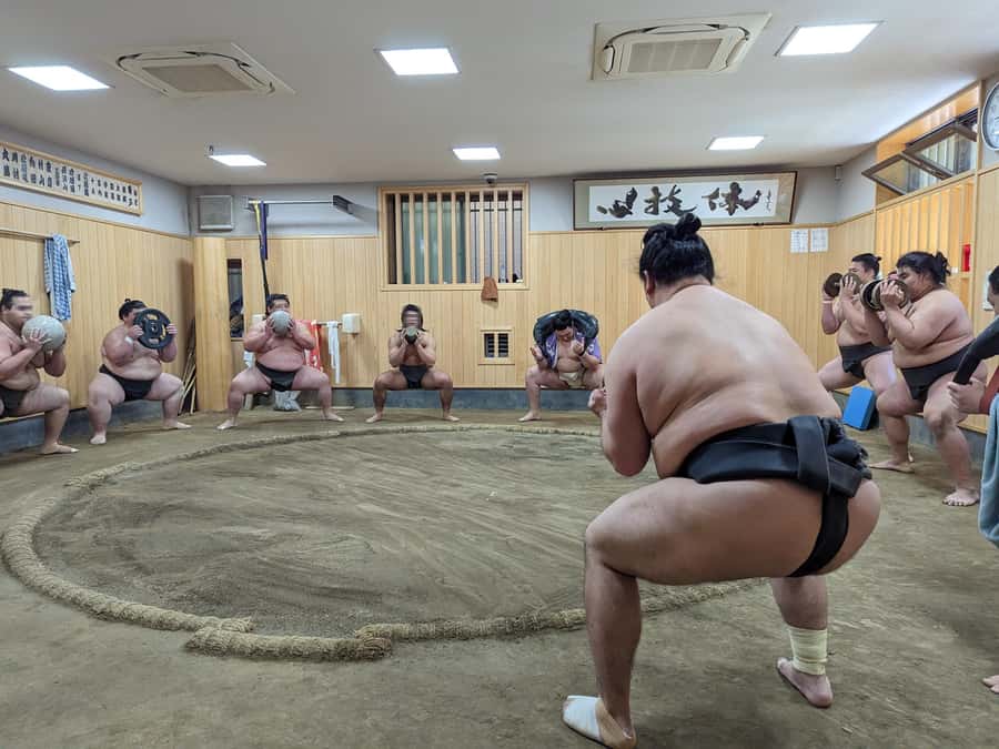 Tokyo: Morning Sumo Practice Viewing - Who will enjoy this most