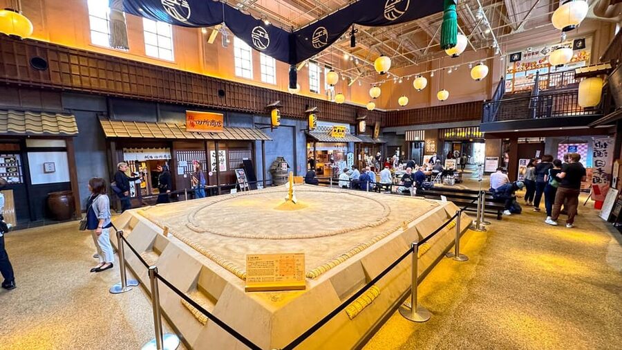 Tokyo: Not a show- a professional sumo practice with experts - Shinya’s explanation makes the difference
