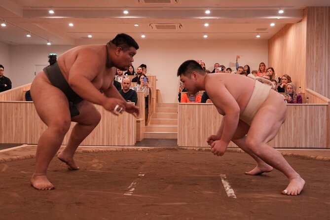 Tokyo Shinjuku Sumo Show & Experience with Photo - Who Will Enjoy This Most?