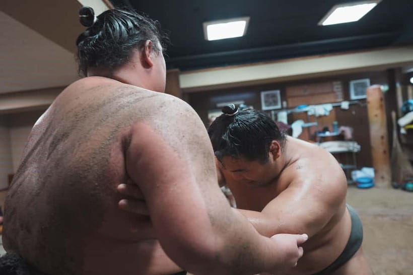 Tokyo: Sumo Keiko Training Tour with Audio Guide & Photo - Who will enjoy this most