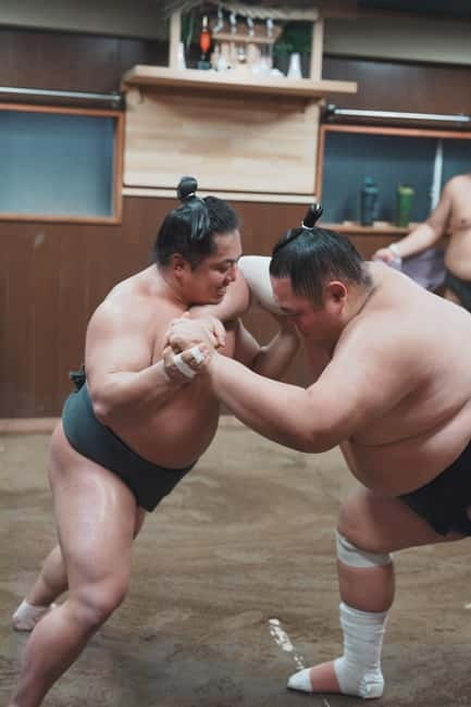 Tokyo: Sumo Keiko Training Tour with Audio Guide & Photo - Booking advice for a smoother visit