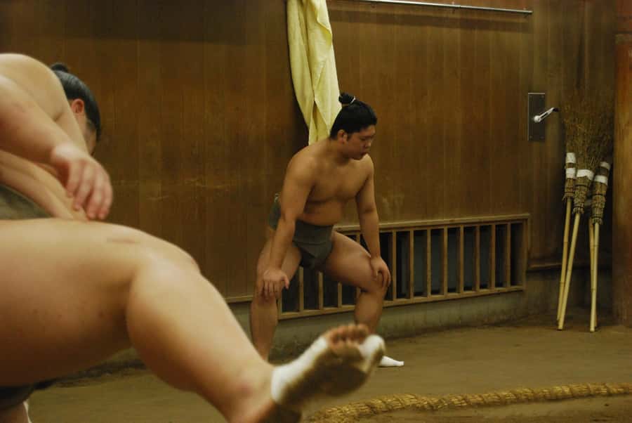 Tokyo: Sumo Morning Practice -Stable Visit Tour with a Guide - Practical advice for a respectful visit