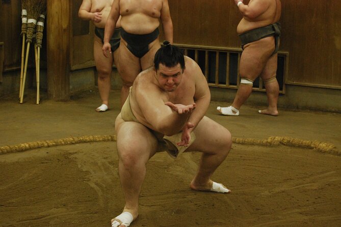 Tokyo: Sumo Morning Practice -Stable Visit Tour with a Guide - What you will see during the practice hour