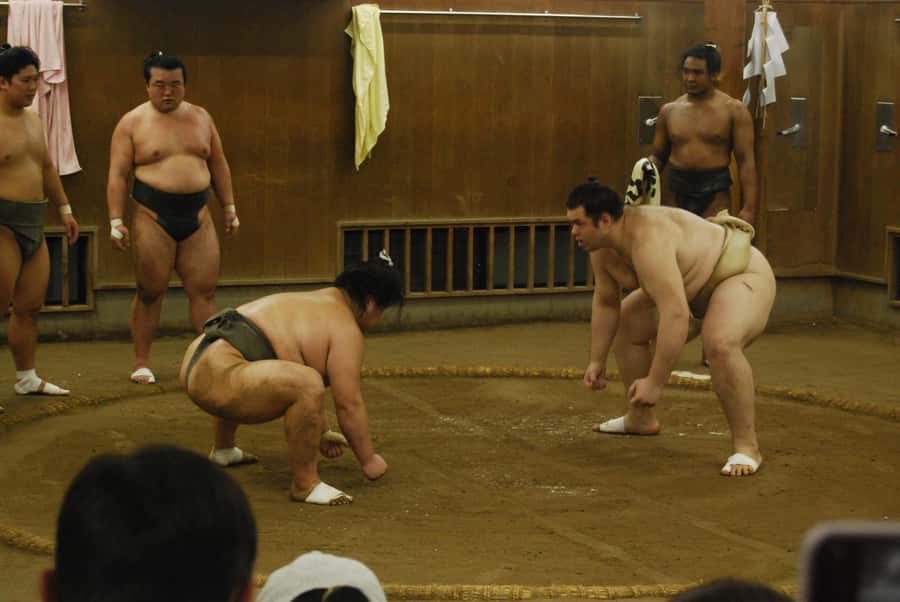 Tokyo: Sumo Morning Practice -Stable Visit Tour with a Guide - Who should book this experience