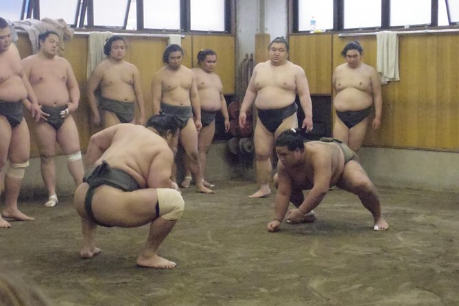 Tokyo Sumo Morning Practice Tour at Stable - Heat, etiquette, and practical rules