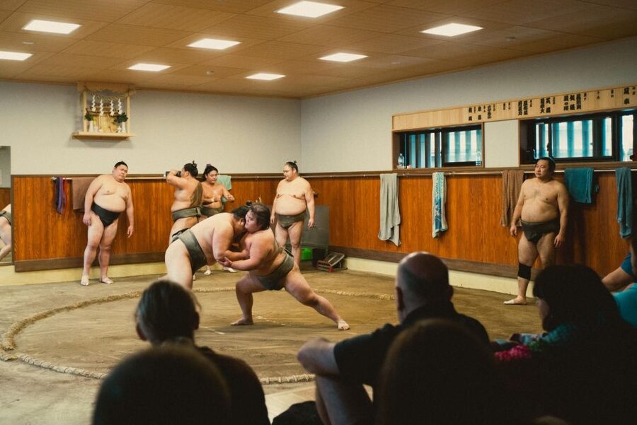 Tokyo: Sumo Morning Practice Tour at Sumida City - Who will enjoy this most?
