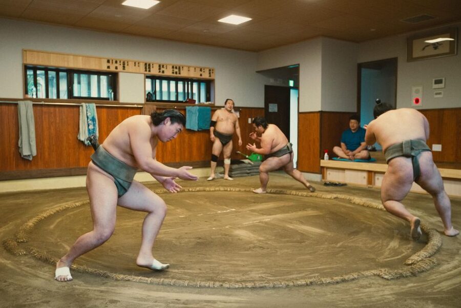 Tokyo: Sumo Morning Practice Tour at Sumida City - Timing, seasonal gaps, and weather