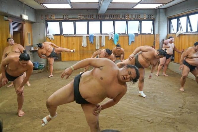 Tokyo Sumo Morning Practice Tour w/ Ring-Side Seat + Photo Shoot - Rules, age limits, and possible changes