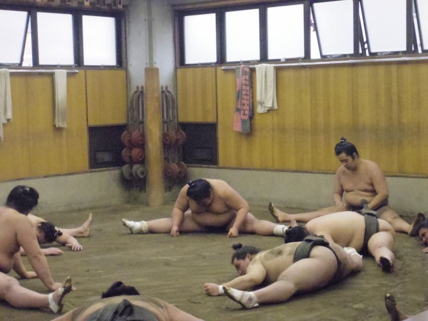 Tokyo: Sumo Morning Practice Viewing Tour - Key points to know before you book