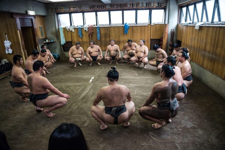 Tokyo: Sumo Morning Practice Viewing Tour - Simple ways to enjoy the visit more