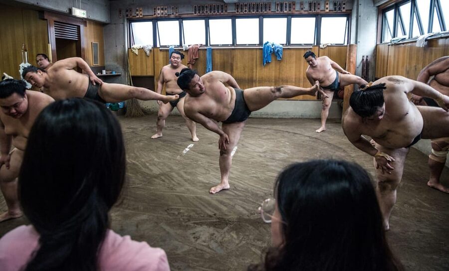 Tokyo: Sumo Morning Practice Viewing Tour - The guides make the difference